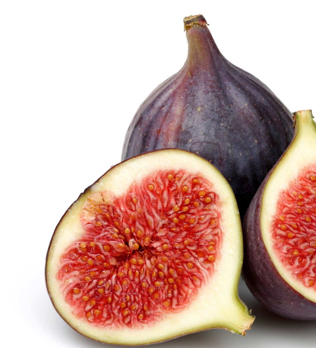 Fig Blossom